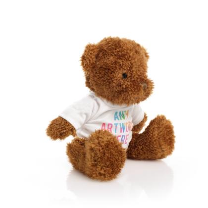 Printed Brown 18cm James Bear Printed Brown 18cm James Bear