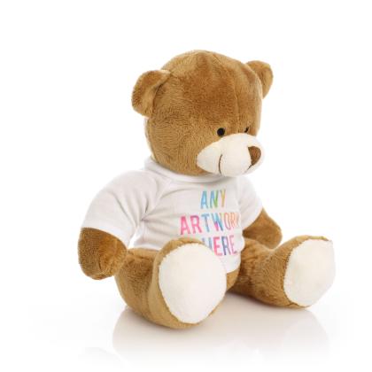 Printed 20cm Richard Bear