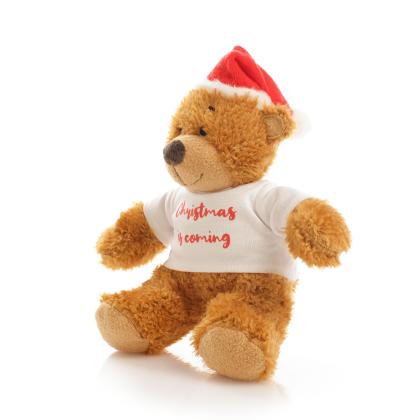 Printed 18cm Anne Santa Bear