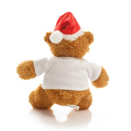 Printed 18cm Anne Santa Bear