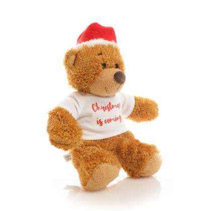 Printed 18cm Anne Santa Bear