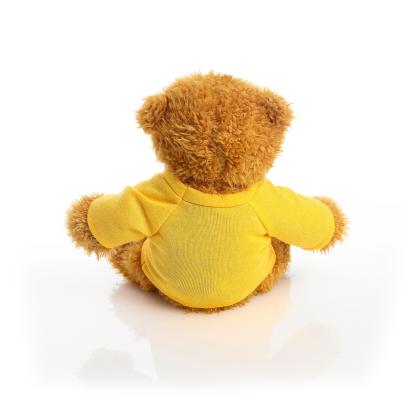 Printed 17cm Anne bear - Yellow t-shirt