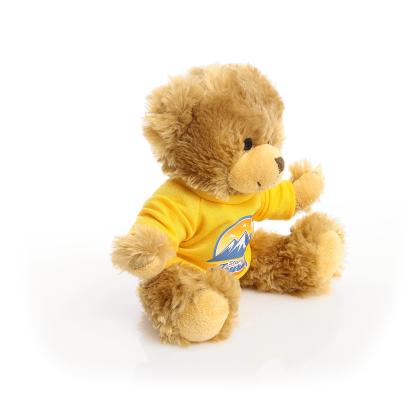Printed 20cm Charles Jointed bear - Yellow t-shirt