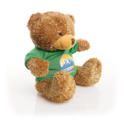 Printed Brown 22cm Edward bear - Yellow t-shirt