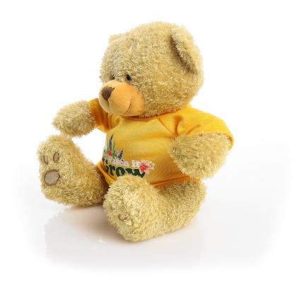 Printed Golden 22cm Edward bear - Yellow t-shirt