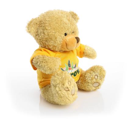 Printed Golden 22cm Edward bear - Yellow t-shirt