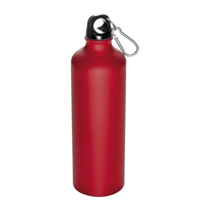 Metal Drinking Bottle with Carabiner Brno 800 ml