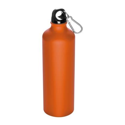 Metal Drinking Bottle with Carabiner Brno 800 ml