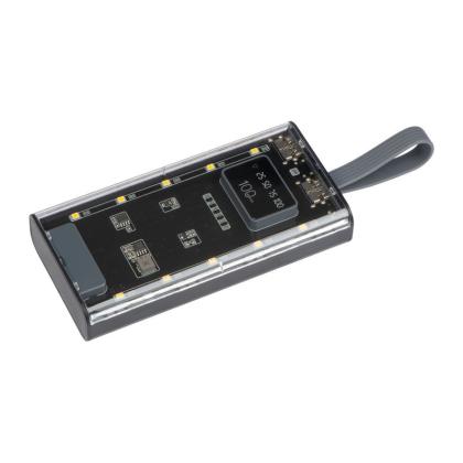 Power Bank Darwin 10,000 mAh