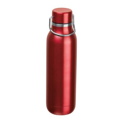 Stainless Steel Drinking Bottle Borgholm 600 ml