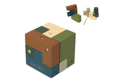 InSideOut Wooden Cube think iq puzzle