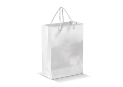 Paper bag large