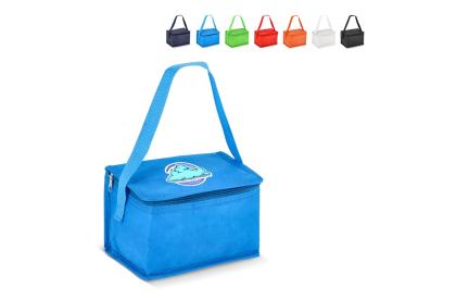 R-PET 6 Can cooler bag non-woven 20x 13 x 12.5cm 75g/m² R-PET 6 Can cooler bag non-woven 20x 13 x 12.5cm 75g/m²