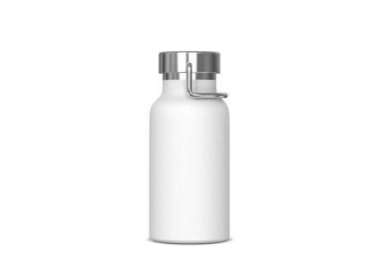 Thermo bottle Skyler 350ml