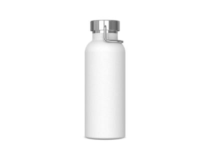 Thermo bottle Skyler 500ml