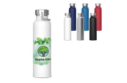 Thermo bottle Skyler 650ml