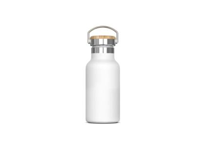 Thermo bottle Ashton 350ml