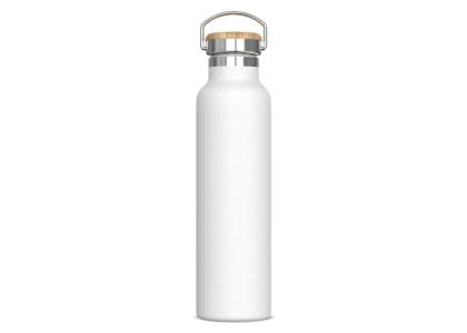 Thermo bottle Ashton 650ml