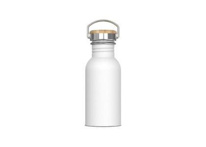 Water bottle Ashton 500ml