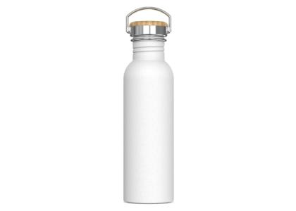 Water bottle Ashton 750ml