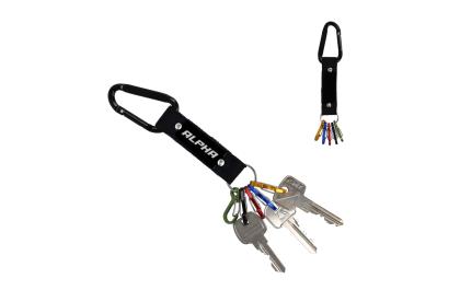 Carabiner key holder