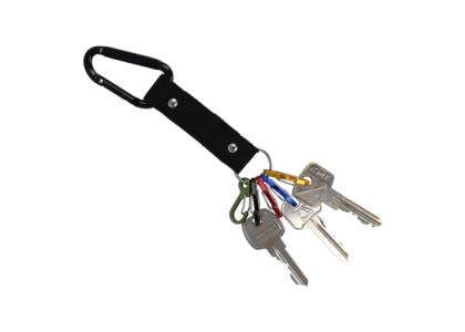 Carabiner key holder