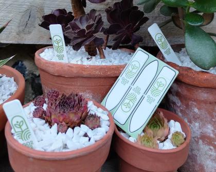 Recycled WalletMate Plant Marker