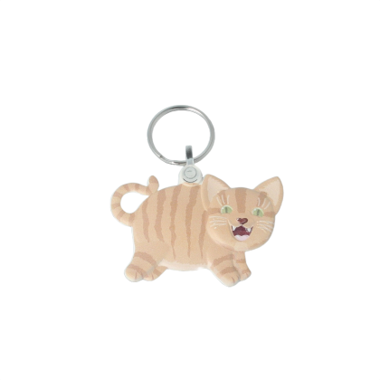 Recycled Cat 'FunKeys' Keyring