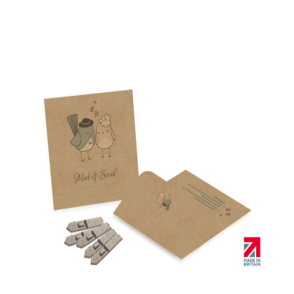 Small Seed Packet Envelope - Kraft