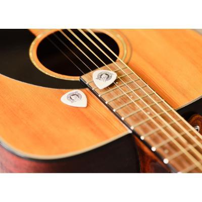 Recycled Guitar Plectrum