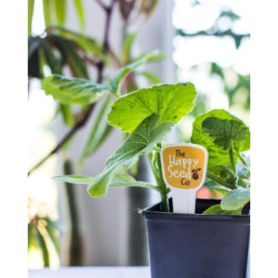 Recycled Plant Marker Kit