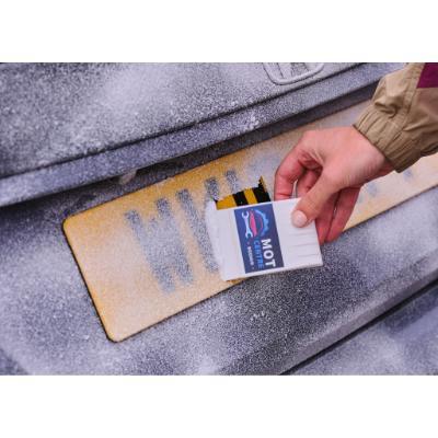 Recycled Palm Ice Scraper