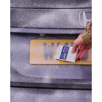 Recycled Palm Ice Scraper