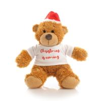 Printed 18cm Anne Santa Bear