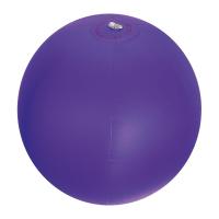 Frosty Beach Ball Orlando