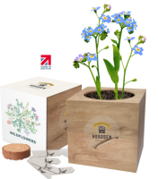 Essential Desktop Cube Gardens