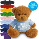 Printed Golden 18cm James bear - Baby Blue t-shirt