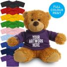 Printed 17cm Anne bear - Purple t-shirt