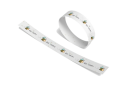 Seeded Paper Wristband