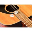 Recycled Guitar Plectrum