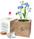 Express Desktop Cube Gardens