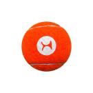Dog Tennis Ball