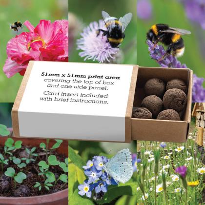Wildflower Seed Balls / Seed Bombs Matchbox
