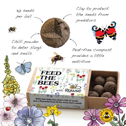 Wildflower Seed Balls / Seed Bombs Matchbox