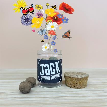 Wildflower Seed Balls / Seed Bombs Jar