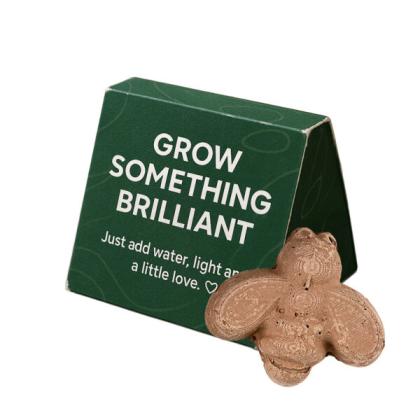 Bee Shaped Seed Bomb - Mini Box