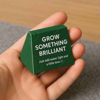 House Shaped Seed Bomb - Mini Box