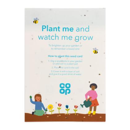 A5 Seed Paper 140gsm