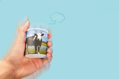 Moo Box Moo Sound Box