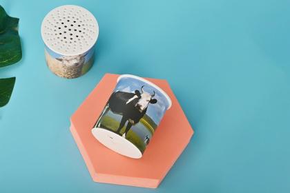 Moo Box Moo Sound Box